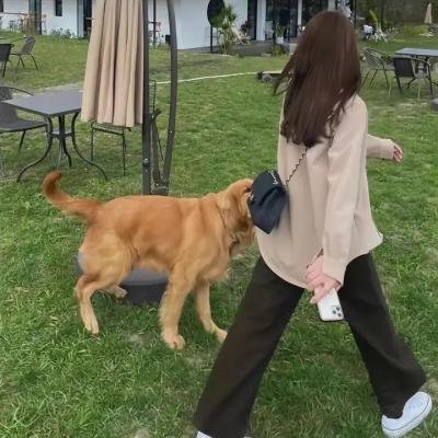 我们的私密幻想